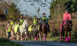 Gollys Support Road Safety Campaign!